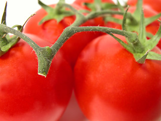 Image showing Tomatoes temptation 2