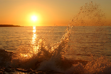 Image showing Morning Splash