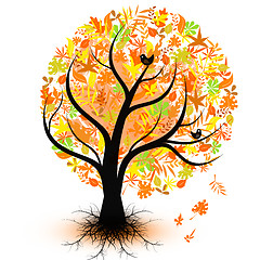Image showing Colorful autumn tree