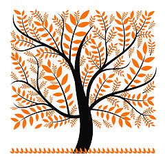 Image showing Autumn tree