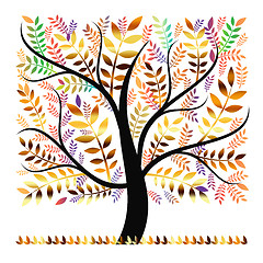 Image showing Autumn tree