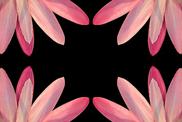 Image showing Pink petal border