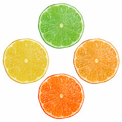 Image showing Fruit slices