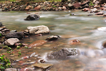 Image showing Water on the rocks into the forest