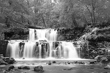 Image showing Water on the rocks into the forest