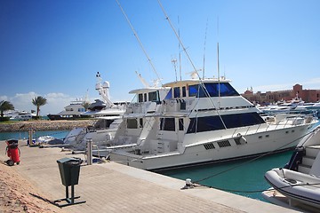 Image showing Luxury yachts