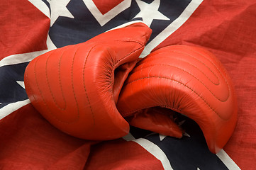 Image showing Rebel boxing