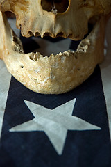 Image showing american skull