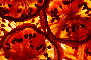 Image showing Italian sun dried tomatoes