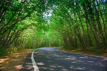 Image showing Green tunnel