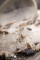 Image showing Lavender Sugar