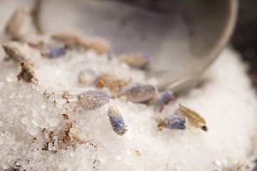 Image showing Lavender Sugar