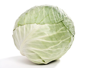 Image showing Cabbage