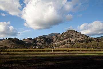 Image showing Wine Country