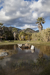 Image showing Pond