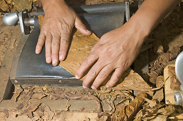 Image showing hand rolling cigar production