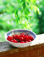 Image showing Sweet cherries