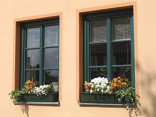 Image showing flower windows