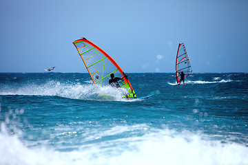 Image showing Wind surfing in the summer 