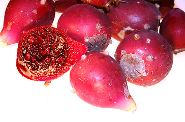 Image showing Prickly pear cactus red fruits  Opuntia ficus-indica 