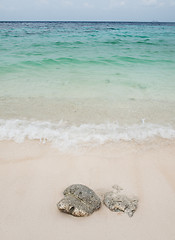 Image showing Beautiful beach