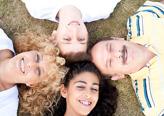 Image showing Happy family of four on grass