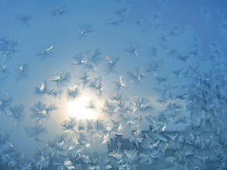 Image showing frosty natural pattern and sun