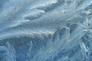 Image showing frost