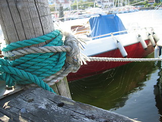 Image showing Spiderweb at the pier