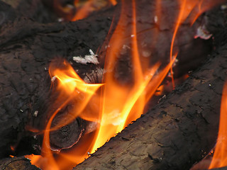 Image showing Logs on fire