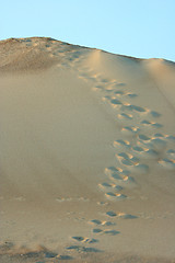 Image showing sand dune