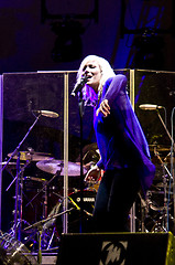 Image showing Laternenfest 2011 concert of Natasha Bedingfield