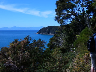 Image showing Abel Tasman National Park, Soth Island, New Zealand