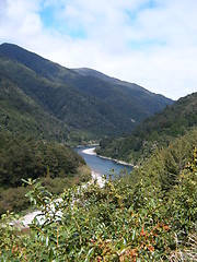 Image showing A river in New Zealand