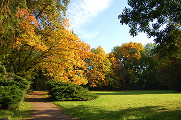 Image showing fall in the park with green trees under blue sky