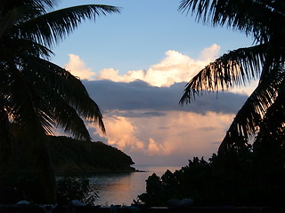 Image showing palm fringed sunset