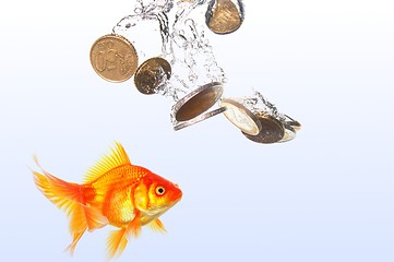 Image showing goldfish and money