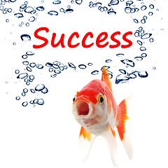 Image showing success