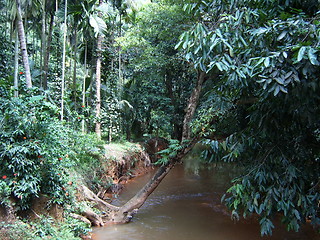 Image showing A river in India