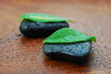 Image showing zen concept with stones and leaves