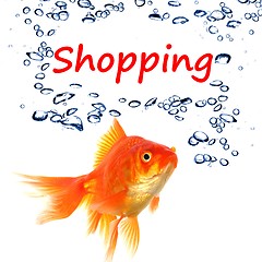 Image showing shopping