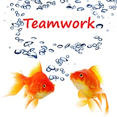 Image showing teamwork