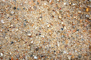 Image showing sand texture