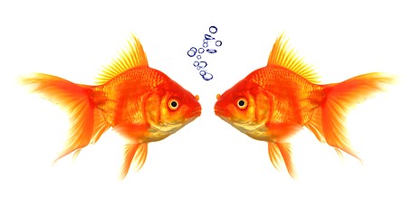 Image showing goldfish