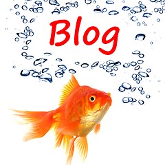 Image showing blog