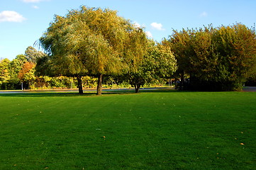 Image showing forest and garden under blue sky at fall