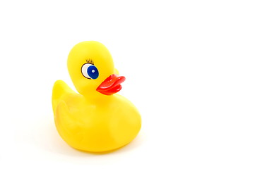 Image showing toy rubber duck 