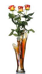 Image showing Red roses in vase, isolated