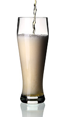 Image showing Glass of beer, isolated.