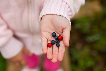 Image showing Child holding berries